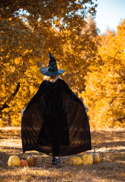 Scène Mystique Avec Sorcière Chapeau Noir Robe Cape Style Halloween — Photo