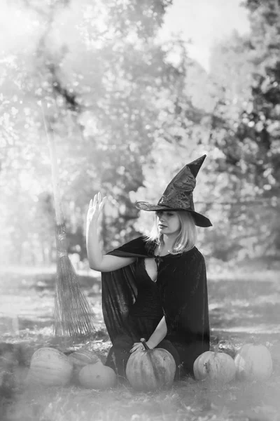 Mystical Scene Witch Black Hat Dress Cape Style Halloween Ladies — Stock Photo, Image