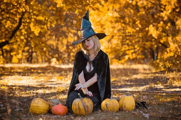 Mystical Scene Witch Black Hat Dress Köpeny Stílus Halloween Hölgyek — Stock Fotó