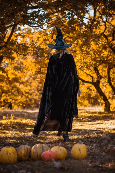 Mystical Scene Witch Black Hat Dress Köpeny Stílus Halloween Hölgyek — Stock Fotó