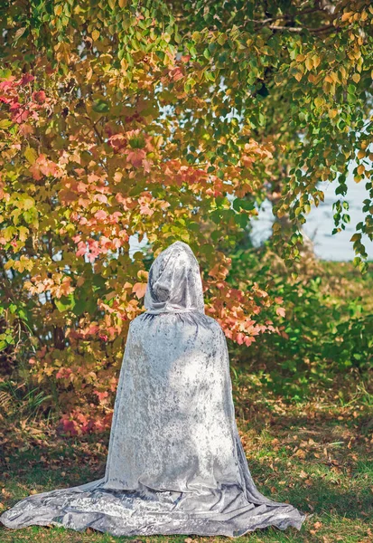 北欧スタイル 自己で長い灰ブロンドの髪を持つ女性 灰色のマントル 北欧の概念でファンタジーの女性 古い世界の魔法 ハロウィン衣装 — ストック写真