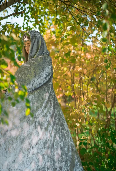 北欧スタイル 自己で長い灰ブロンドの髪を持つ女性 灰色のマントル 北欧の概念でファンタジーの女性 古い世界の魔法 ハロウィン衣装 — ストック写真