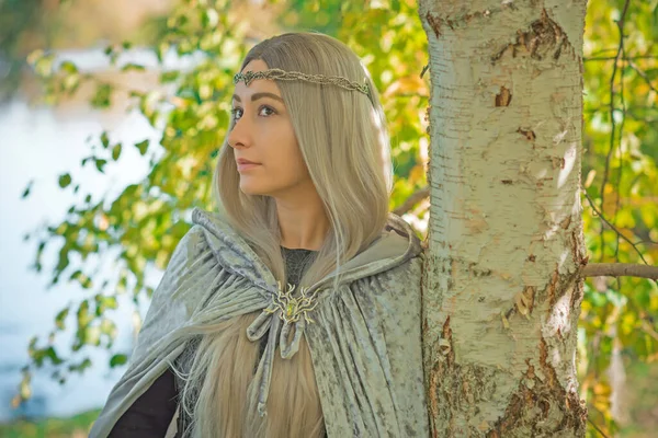 Dame Mit Langen Aschblonden Haaren Nordischen Stil Elfe Fantasiefrau Grauen — Stockfoto