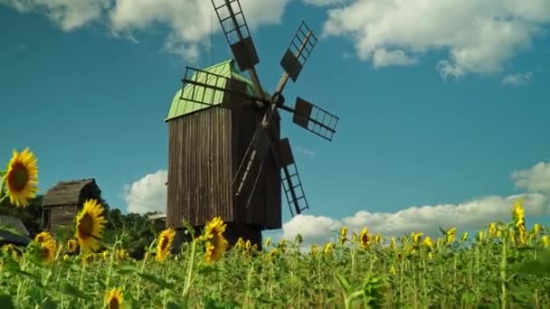 Molino Viento Madera Pueblo Tradicional Ucraniano — Vídeo de stock