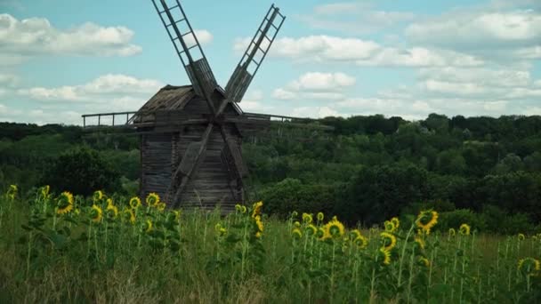 Moulin Vent Bois Dans Village Traditionnel Ukrainien — Video