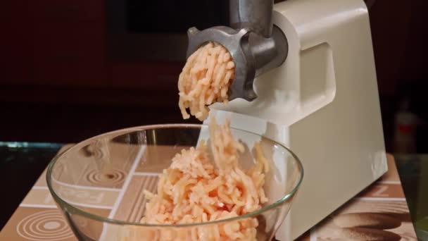新鮮な肉からの電気挽肉の粉砕機でミンチ肉の準備 — ストック動画