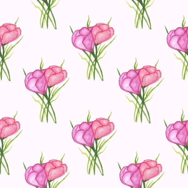 Patrón sin costura floral. Pergaminos rosados en la hierba aislados sobre fondo blanco. Primera flor de primavera. Ilustración en acuarela. Para textiles, fondo, papel pintado, embalaje, cubierta — Foto de Stock