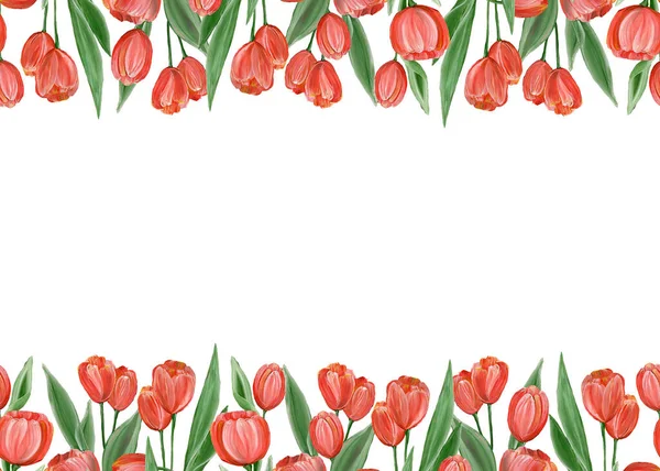 Leuchtend rote Tulpen mit grünen Blättern auf weißem Hintergrund. Nahtlose Grenze, Banner. Frühlingsblumen. Freiraum für Text. Aquarell-Illustration. Für Postkarten, Einladungen, Papierverpackungen. — Stockfoto