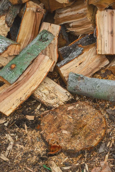Dřevěné Klády Leží Zemi Poblíž Kmene Rozřezaného Stromu Těžební Průmysl — Stock fotografie