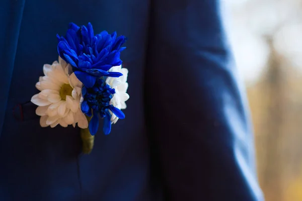 Бутоньерка Жениха Голубой Белой Хризантем Голубой Куртке Свадьба Синих Тонах — стоковое фото