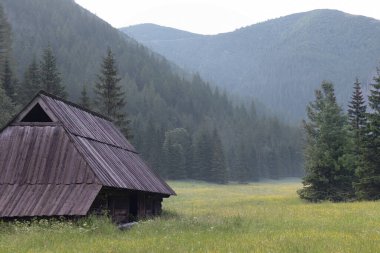 Çoban kulübesiyle sisli bir yaz sabahında vadi. Dağları seyret. Tatras, Polonya.