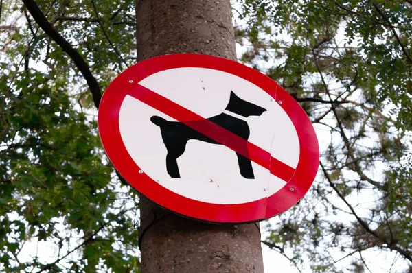 Ağaçta çatlak olan köpek gezdirme tabelası yok.