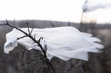 Seçici odaklanma. Kuru bir ağaç dalına takılmış eski püskü beyaz bir plastik torba ve rüzgarda dalgalanan cansız bir tepe zeminine karşı