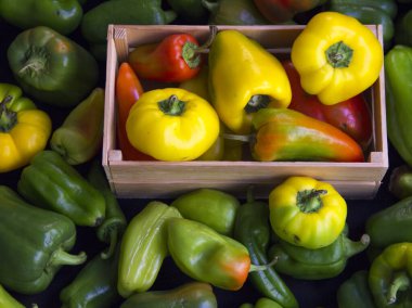Sağlıklı beslenme kavramı. Hasat festivali, taze yemek. Kilo vermek için diyet. Biberler ahşap kutunun üstünde. Yiyecek kaynağı. Eko ürünlerin tepside teslimatı. Hasat.