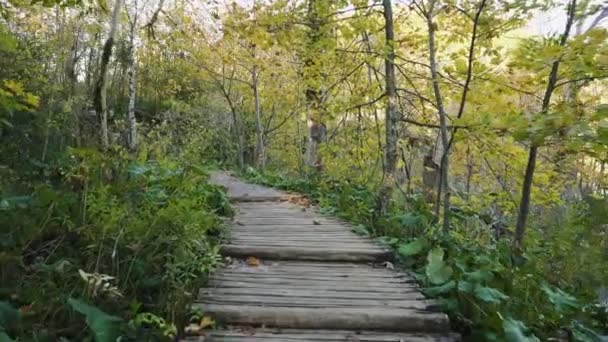 Un paseo por el parque nacional de los lagos de Plitvice — Vídeos de Stock