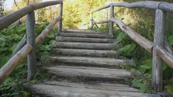 Spaziergang im Nationalpark Plitvicer Seen — Stockvideo