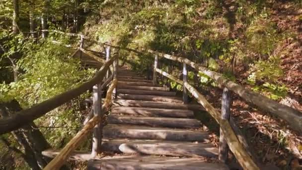 Plitvice Gölleri Ulusal Parkı 'nda bir yürüyüş — Stok video