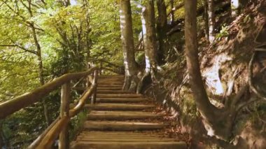 Plitvice Gölleri Ulusal Parkı 'nda bir yürüyüş