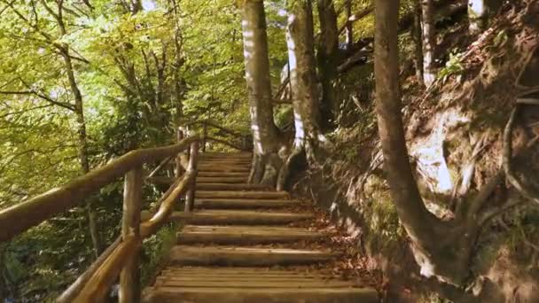 Een wandeling in het Nationaal Park Plitvice meren — Stockvideo