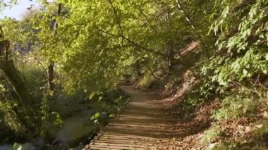 Plitvice Gölleri Ulusal Parkı 'nda bir yürüyüş