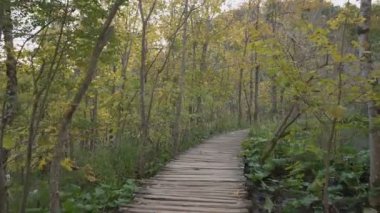 Plitvice Gölleri Ulusal Parkı 'nda bir yürüyüş