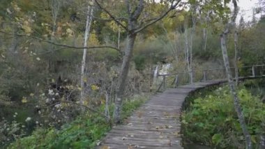 Plitvice Gölleri Ulusal Parkı 'nda bir yürüyüş