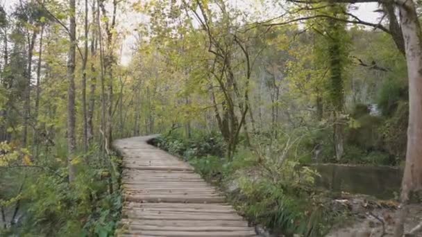 Un paseo por el parque nacional de los lagos de Plitvice — Vídeo de stock