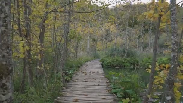 Прогулка в национальном парке Плитвицкие озера — стоковое видео