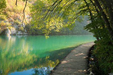 Hırvatistan ulusal parkının eğimli gölleri sonbaharda