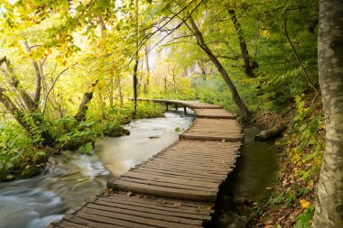 Hırvatistan ulusal parkının eğimli gölleri, sonbahar