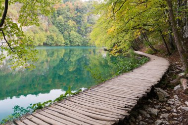 Hırvatistan ulusal parkının eğimli gölleri, sonbahar