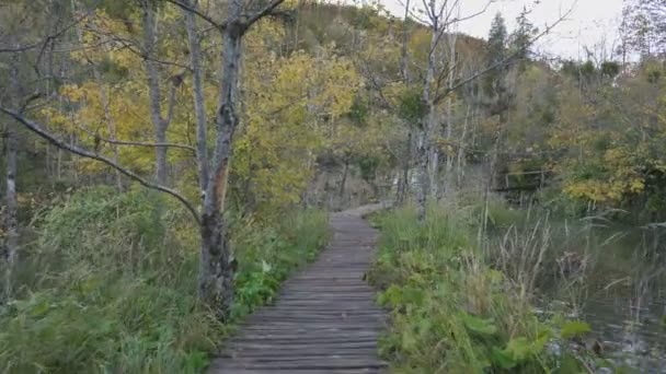Séta a Plitvicei-tavak Nemzeti Parkban — Stock videók