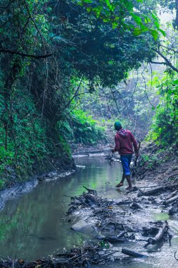 Ormanda elinde ayakkabıları olan bir adam derenin kenarında yürüyor. Ormanda yürüyüş yapan yürüyüşçüler. Dağ nehrinin yanındaki ormanda yürüyen yürüyüşçüler..