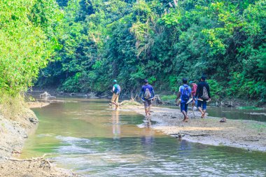 Ormanda elinde ayakkabıları olan bir adam derenin kenarında yürüyor. Ormanda yürüyüş yapan yürüyüşçüler. Dağ nehrinin yanındaki ormanda yürüyen bir grup yürüyüşçü..
