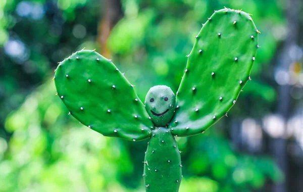 Rare Picture Cactus Plant Man Shaped Cactus Plant Green Bokeh — Stock Photo, Image