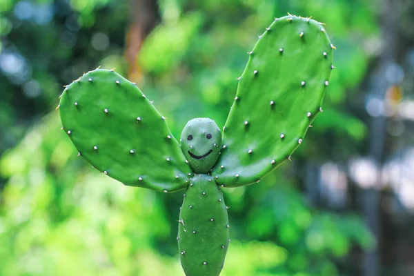 Редкая Картина Кактусного Растения Человекообразное Кактусное Растение Зеленым Боке Фоном — стоковое фото