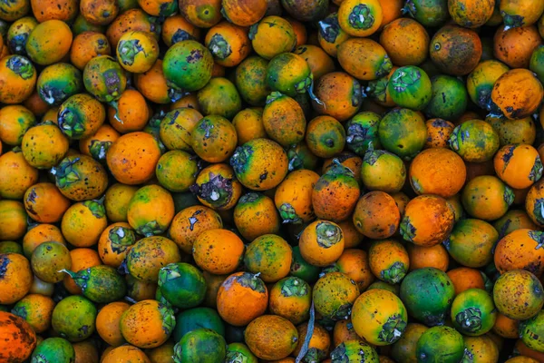 Oranžové Betelové Ořechy Nebo Areca Katechu Ořechové Hrozny Palmě Betelový — Stock fotografie