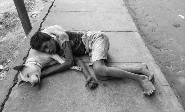 กไร านนอนก บหมาข างถนน แนวค ดของความยากจน ความแตกต างทางส งคม และความโหดร — ภาพถ่ายสต็อก