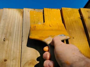 Baharın başında tahta bir çite boya fırçasıyla turuncu bacaklar uygulanacak. temizleme süreci.