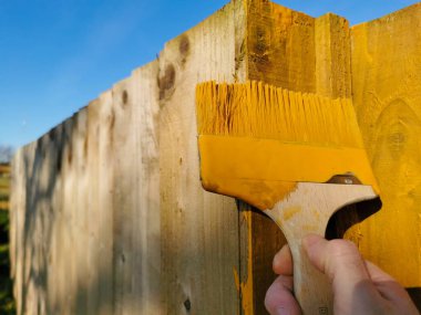 Baharın başında tahta bir çite boya fırçasıyla turuncu bacaklar uygulanacak. temizleme süreci.