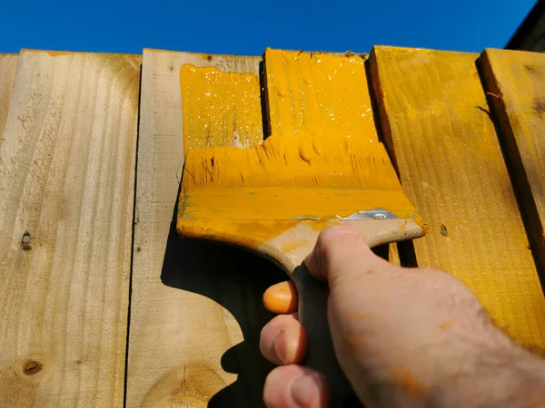 Baharın başında tahta bir çite boya fırçasıyla turuncu bacaklar uygulanacak. temizleme süreci.