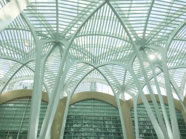 Güzel bir mimari yapı. Metal yapıların beyaz arka planı. Güneş parıldayan metal çiçekler.