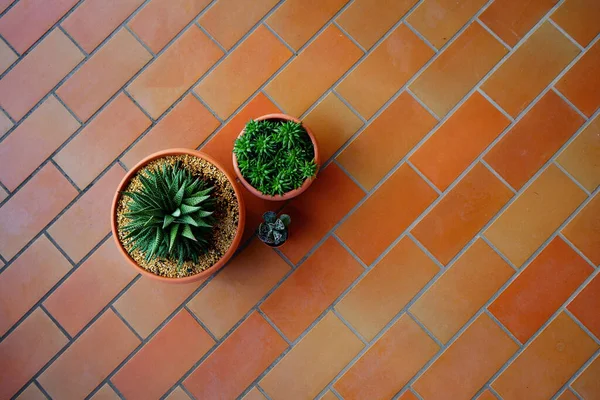 Yerler sulu ve mozaik arkaplan