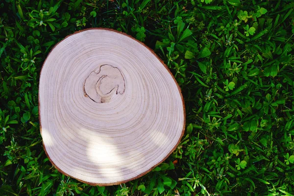 Bahçe arka planında ağaç gövdesi