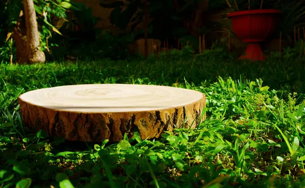 Zemin bahçesindeki ahşap kütükler