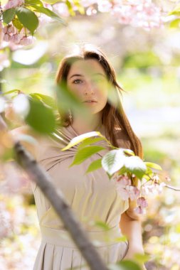 Çiçekli bir sakura bahçesinde poz veren güzel genç bir kadın.