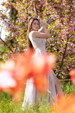 Çiçekli bir sakura bahçesinde poz veren güzel genç bir kadın.