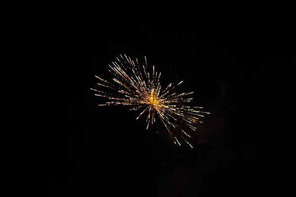 Explosión Fuegos Artificiales Con Fondo Negro — Foto de Stock