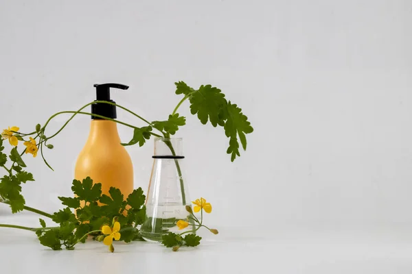 Cosmetic bottle containers with green herbal celandine leaves in flask. Abstract cosmetic laboratory. Natural beauty product concept.
