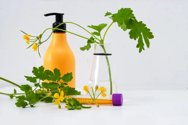 Cosmetic bottle containers with green herbal celandine leaves in flask and test-tube. Abstract cosmetic laboratory. Natural beauty product concept.